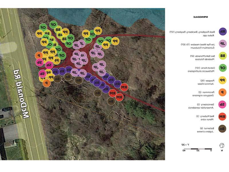 Sattelite image of Springdale food forest showing different plants